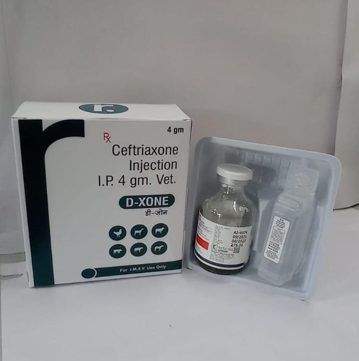 D-XONE  4 GM